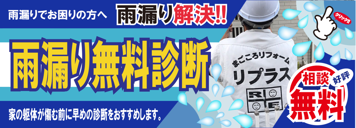 株式会社リプラス